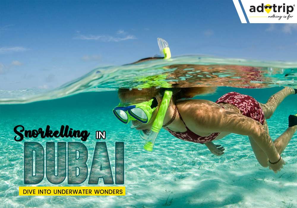 Snorkelling Spot  In Dubai